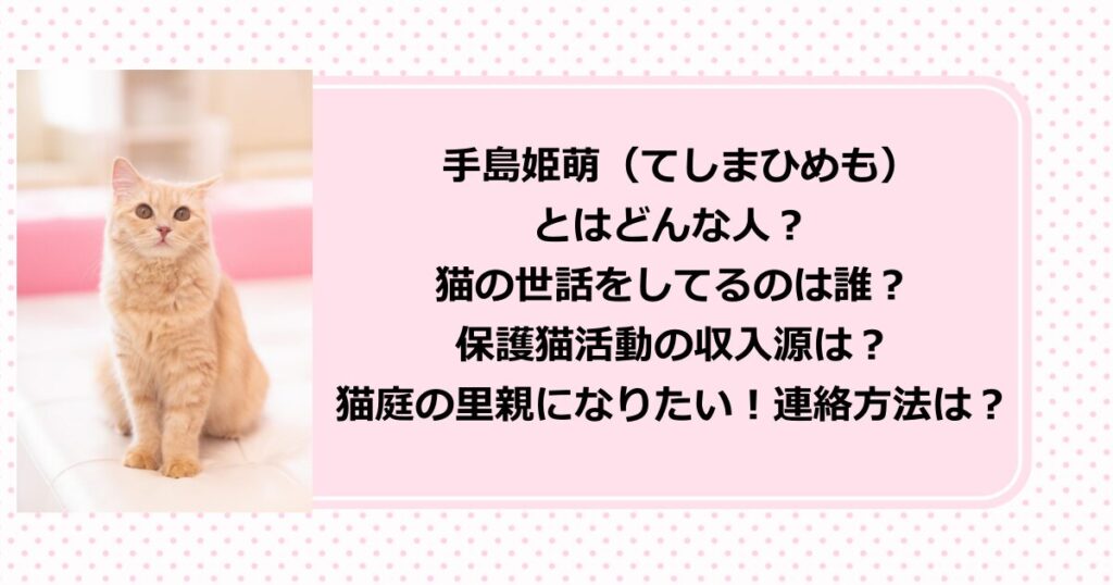 保護猫『猫庭』の館長・手島姫萌（てしまひめも）のプロフィールや、保護猫活動の収入源や里親になる方法を紹介！