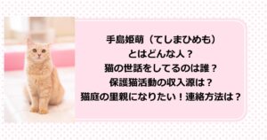 保護猫『猫庭』の館長・手島姫萌（てしまひめも）のプロフィールや、保護猫活動の収入源や里親になる方法を紹介！