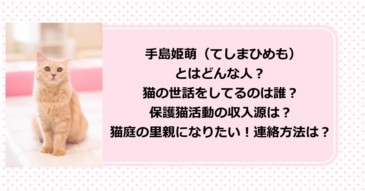 保護猫『猫庭』の館長・手島姫萌（てしまひめも）のプロフィールや、保護猫活動の収入源や里親になる方法を紹介！