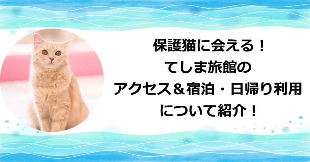 保護猫にあえる宿・てしま旅館へのアクセス方法・宿泊方法・日帰り利用について紹介！