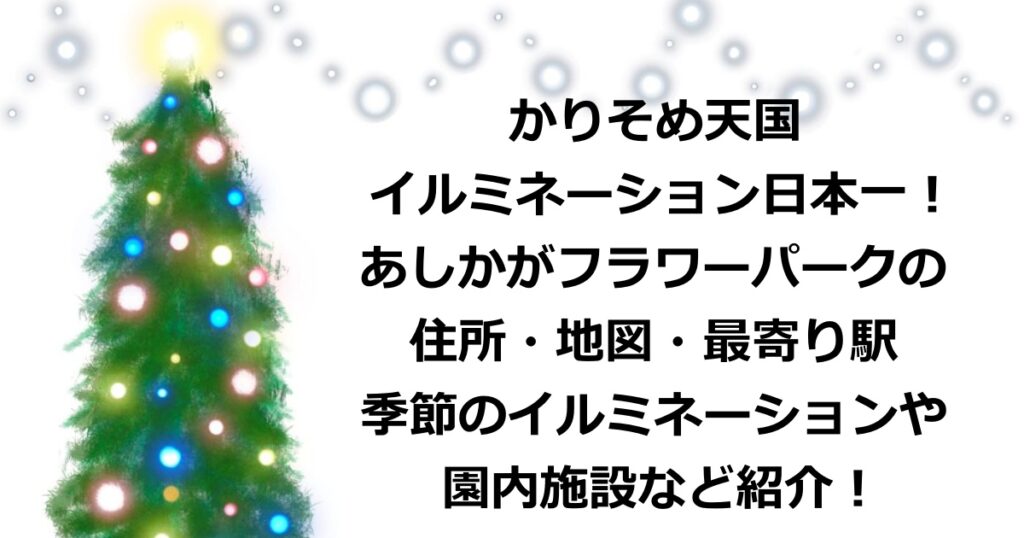 かりそめ天国で紹介された、あしかがフラワーパークのイルミネーションについて住所・地図・最寄り駅・イルミネーションのデザインについてや園内施設などを紹介！