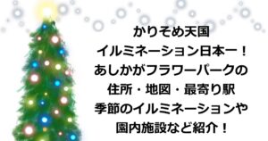 かりそめ天国で紹介された、あしかがフラワーパークのイルミネーションについて住所・地図・最寄り駅・イルミネーションのデザインについてや園内施設などを紹介！