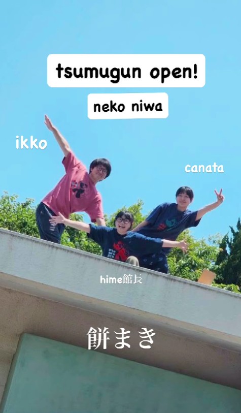 保護猫シェルターの小学生館長・手島姫萌（てしまひめも）の現在の写真！