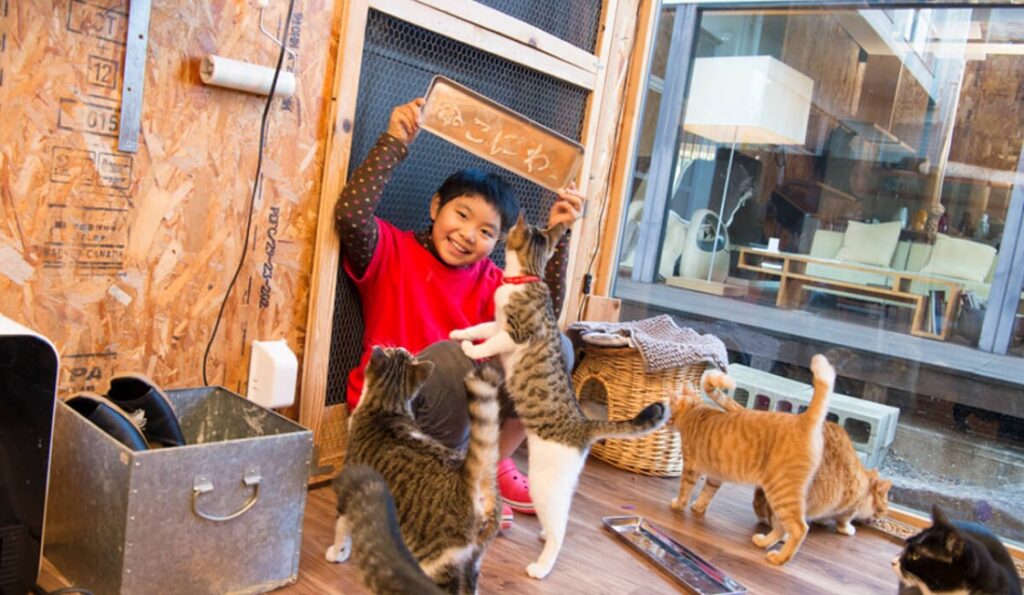 てしまりょかんの中庭にある猫の家の写真と猫の世話をする手島姫萌さん