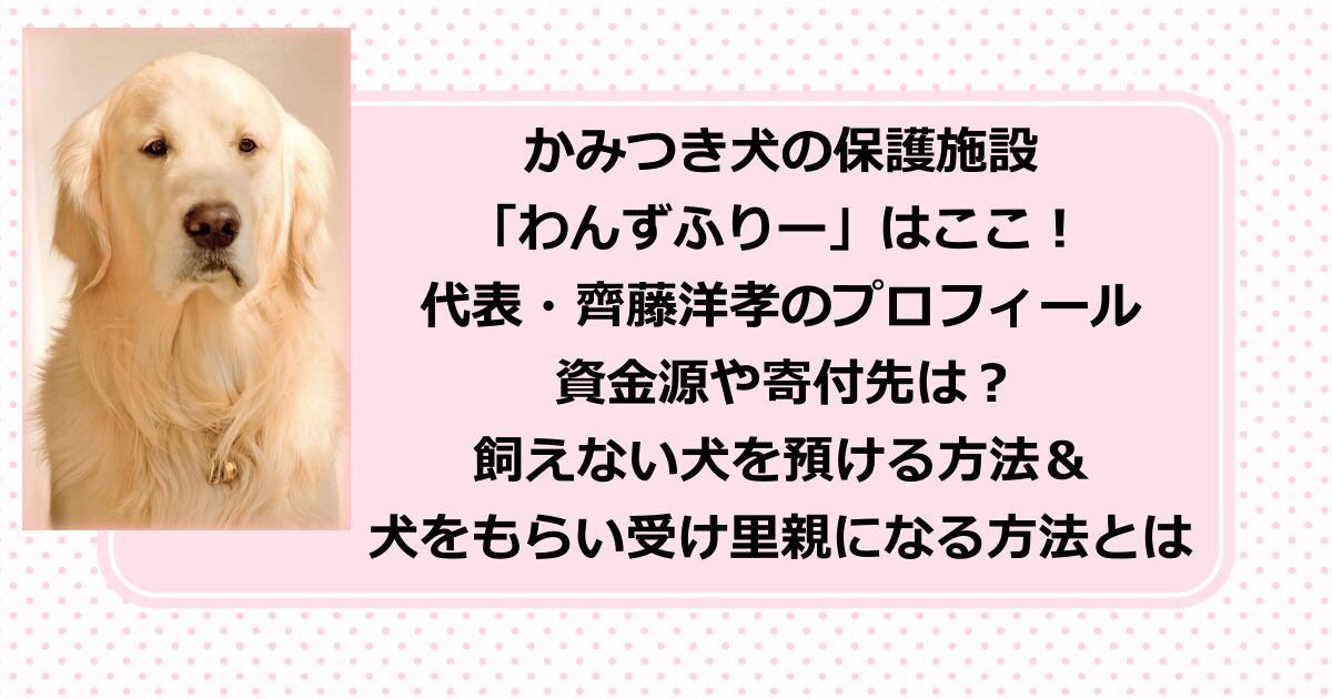 坂上どうぶつ王国に登場したかみつき犬専門の保護施設「わんずふりー」代表の齊藤洋孝さんのwikiプロフィール紹介とワンズフリーの資金源や寄付先・里親になる方法や飼えなくなった犬を預ける方法などを紹介