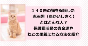 世界を救う!ワンにゃフル物語に登場した１４０匹の猫を保護した赤石朔（あかいしさく）とはどんな人？保護猫活動の資金源やねこの里親になる方法を紹介