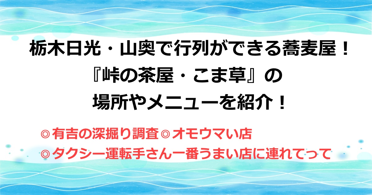 有吉の深掘り調査・オモウマい店・タクシー運転手さん一番旨い店に連れてってなどテレビで紹介された栃木県日光市の山奥の行列ができる蕎麦屋・峠の茶屋・こま草の場所や地図やメニューを紹介