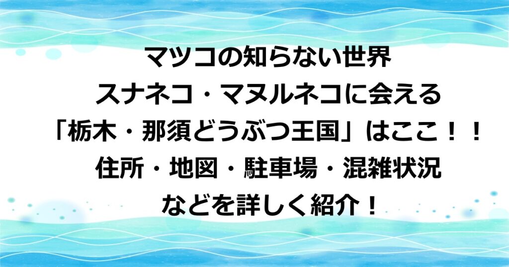 マツコの知らない世界で紹介されたスナネコ・マヌルネコなどの猫に会える「栃木・那須どうぶつ王国」はここ！！住所・地図・駐車場・混雑状況などを詳しく紹介！