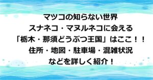 マツコの知らない世界で紹介されたスナネコ・マヌルネコなどの猫に会える「栃木・那須どうぶつ王国」はここ！！住所・地図・駐車場・混雑状況などを詳しく紹介！