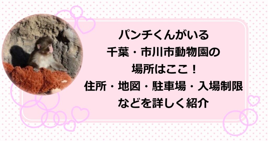 パンチくんがいる 千葉・市川市同植物園の 場所はここ！ 住所・地図・駐車場の場所・駐車場混雑状況・入場制限 などを詳しく紹介！