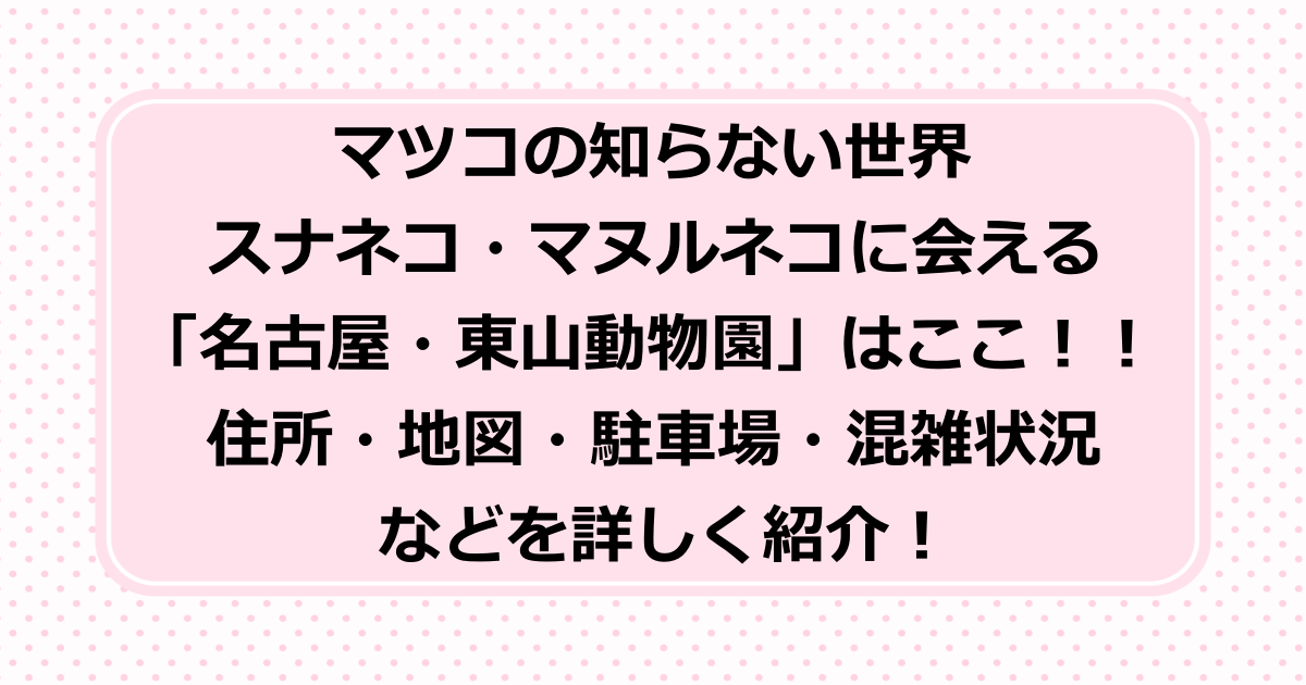 マツコの知らない世界で紹介されたスナネコ・マヌルネコなどの猫に会える名古屋・東山動物園の住所・地図・駐車場・混雑状況などを詳しく紹介!
