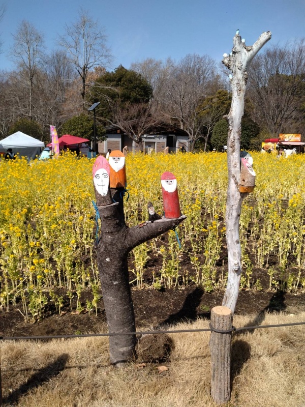 菜の花満開の芦花公園フェスタ