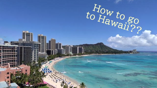 脱税で有罪（刑事罰・行政処分が下された）場合、宮崎麗果さんはずっとハワイに行けなくなるの？ESTA以外で行く方法は弁護士に相談するなどの方法もある。