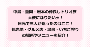 中島・重岡・岩本の仲良しトリオ旅 大使になりたいッ！日光で三人が巡ったのはここ！観光地の東照宮や蕎麦屋、いろは坂や中禅寺湖・グルメ店・リッツカールトン温泉・日光ストロベリーパークのいちご狩りの場所やメニューを紹介！