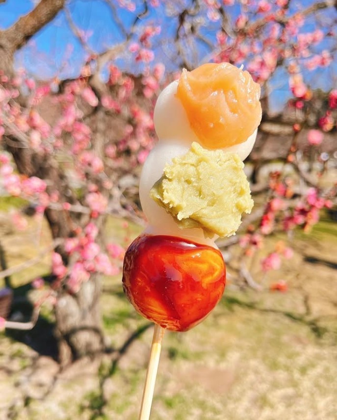 帰れマンデーの茨城春の人気ルートで紹介された偕楽園の三福だんごを紹介